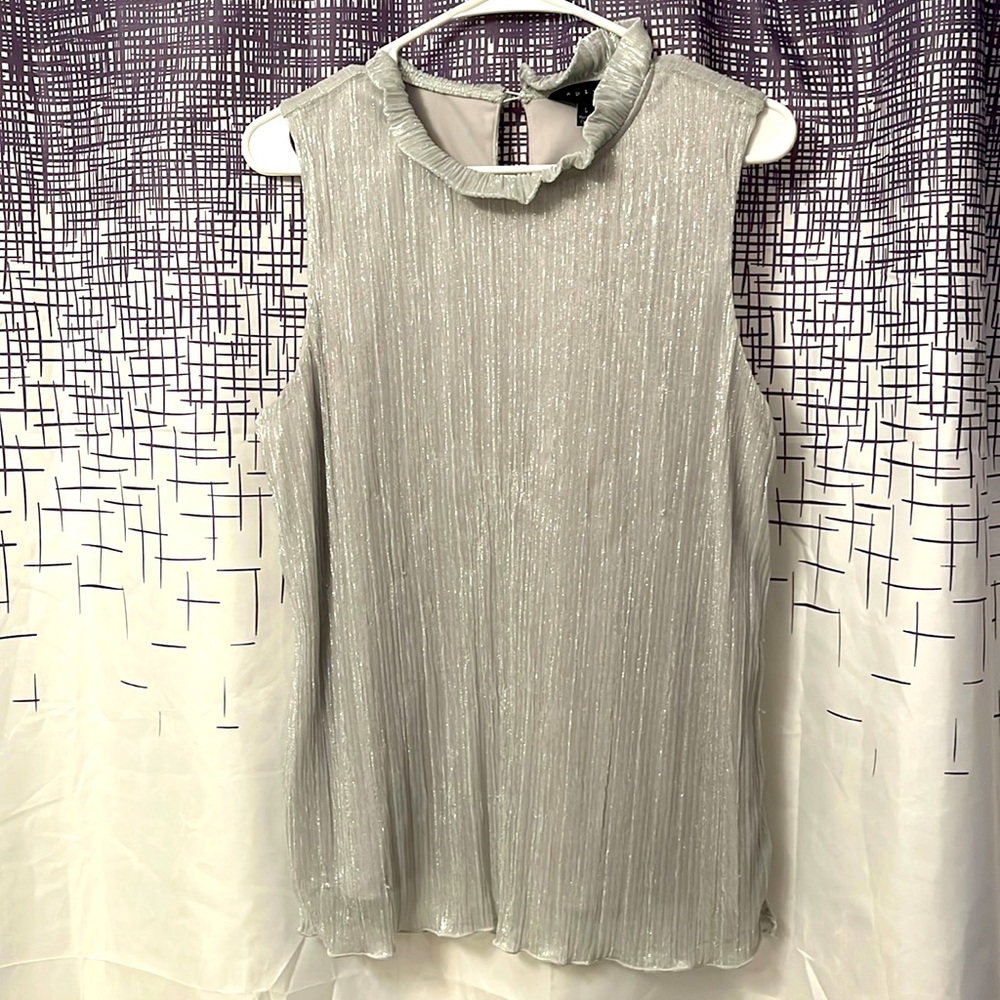 Glittery sleeveless top with mock turtle neck in silver. Includes liner tank top